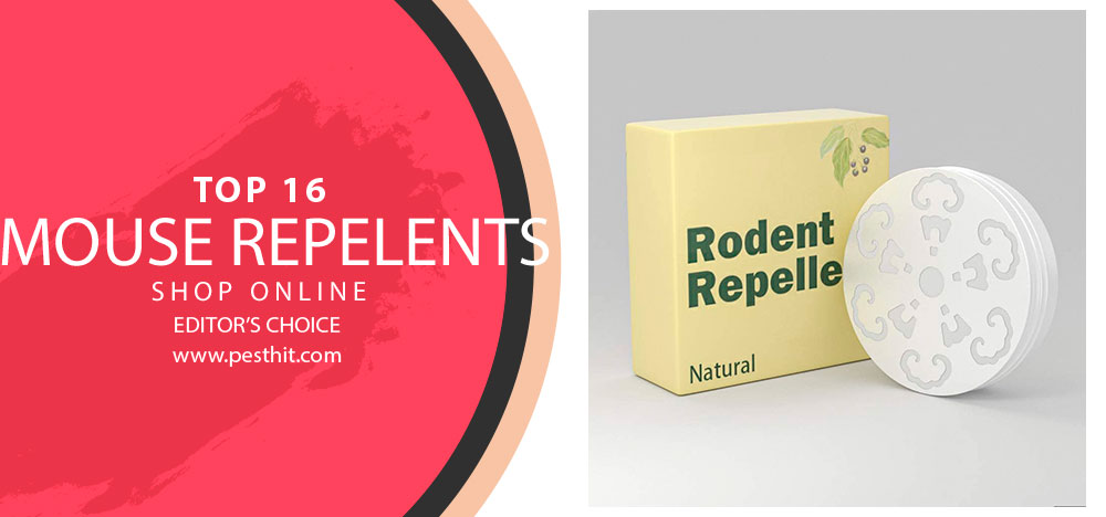 Best Mouse Repellents