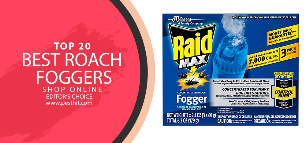 Best Roach Foggers