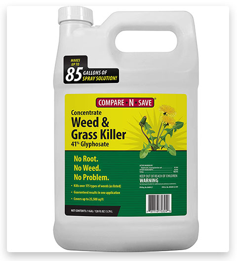 Compara-N-Save Concentrate Grass and Weed Killer