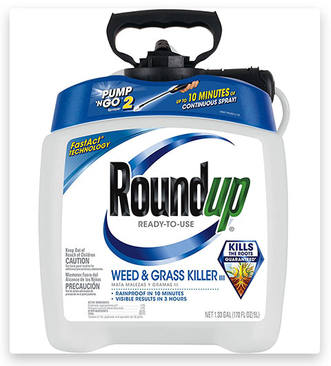 Roundup Ready-To-Use Weed & Grass Killer (herbicide prêt à l'emploi)