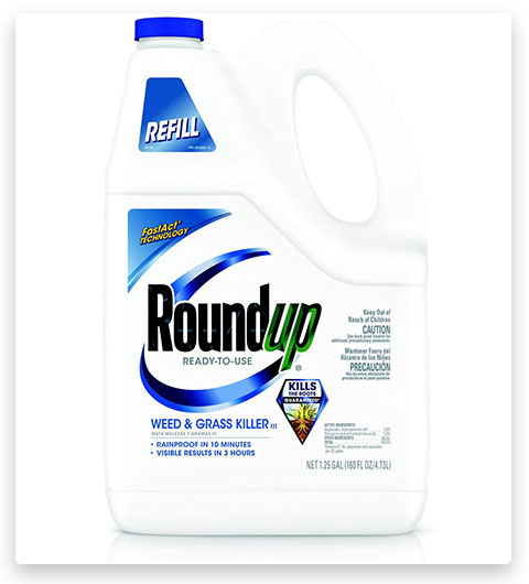 Roundup, herbicide prêt à l'emploi pour les mauvaises herbes et le gazon