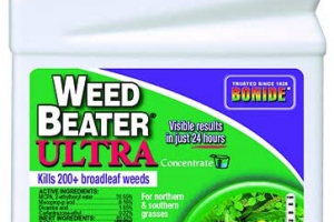 Best Broadleaf Weed Killers For Lawns 2022