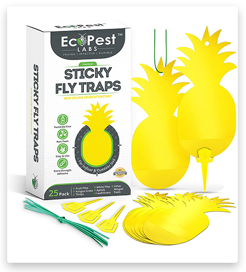ECOPEST Sticky Fruit Fly and Gnat Traps 