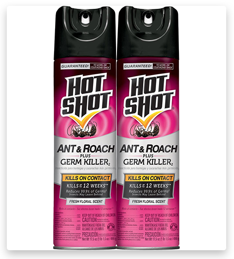 Hot Shot Ant & Roach Plus Germ Killer