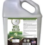 Best Non-Toxic Weed Killers 2024