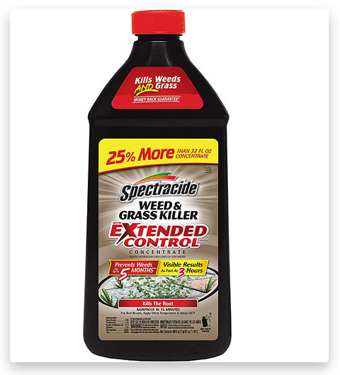 Spectracide Weed & Grass Killer With Extended Control Concentrate
