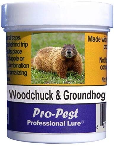 Read more about the article Best Groundhog Baits 2023