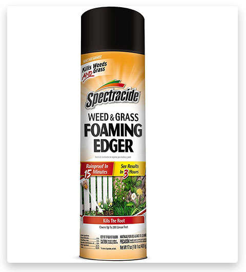 Spectracide Weed & Grass Foaming Edger