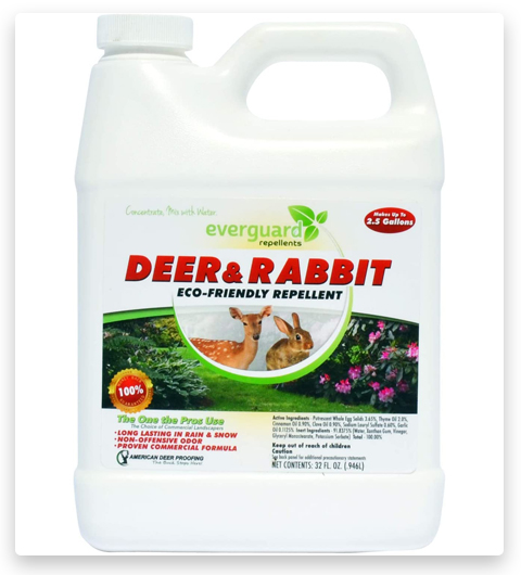 Everguard Concentrated Deer and Rabbit Repellent