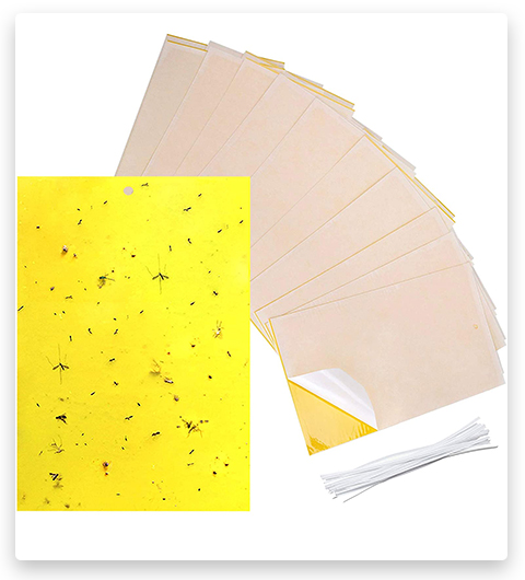 Gingbau 20-Pack Dual-Sided Yellow Sticky Traps