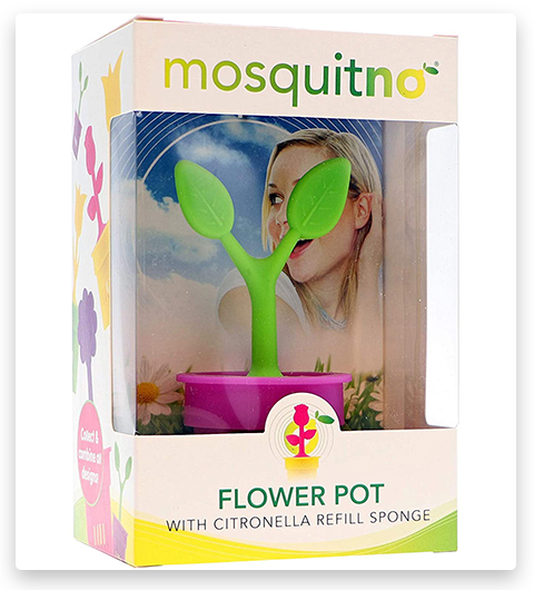 Mosquitno Citronnelle Anti-Insectes Fleur décorative en pot