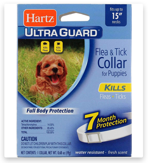 Collar antipulgas y antigarrapatas HARTZ Ultra Guard para cachorros