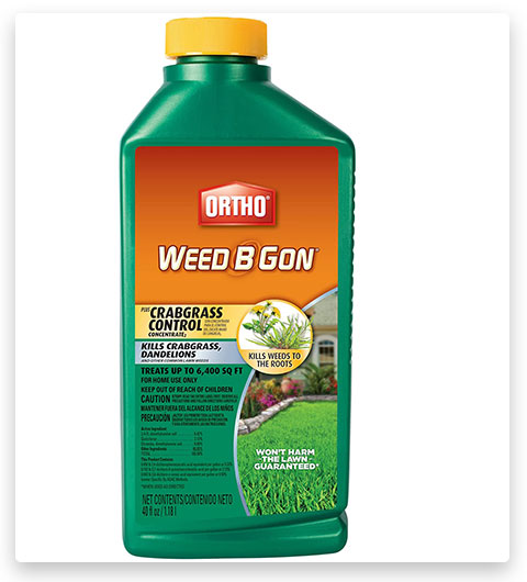 Ortho Weed-B-Gon Plus Controllo dell'erba gramigna