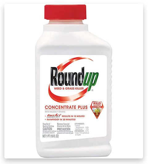 Roundup, herbicida concentrado Plus