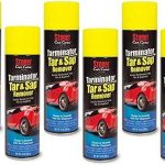 Best Bug Removers For Cars 2022