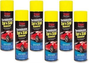 Read more about the article Best Bug Removers For Cars 2022