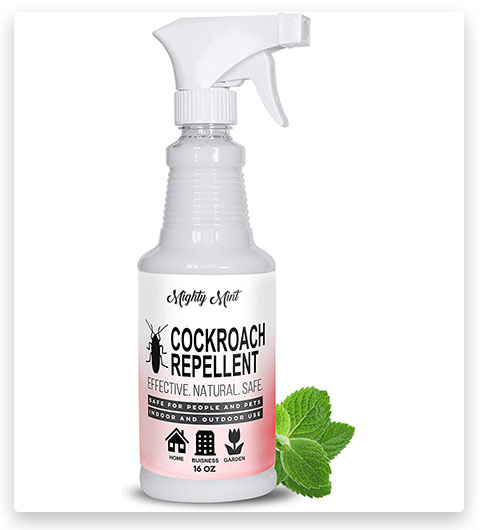 Mighty Mint 16 oz di olio spray naturale alla menta piperita repellente per scarafaggi