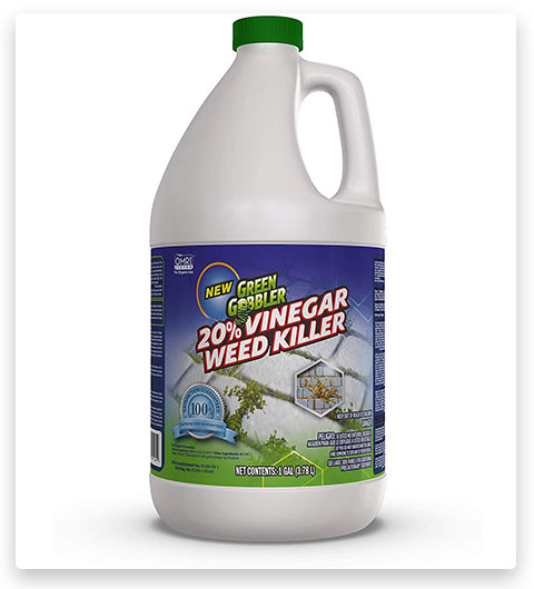 Green Gobbler Aceto per eliminare le erbacce e l'erba