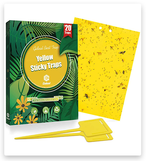 Gideal 20 paquetes de trampas adhesivas amarillas de doble cara