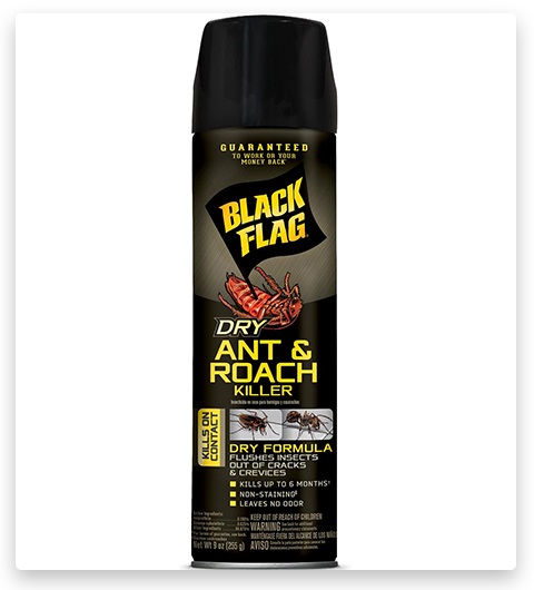 Black Flag Trockenes Ameisen- und Schabenvernichtungsmittel Aerosol