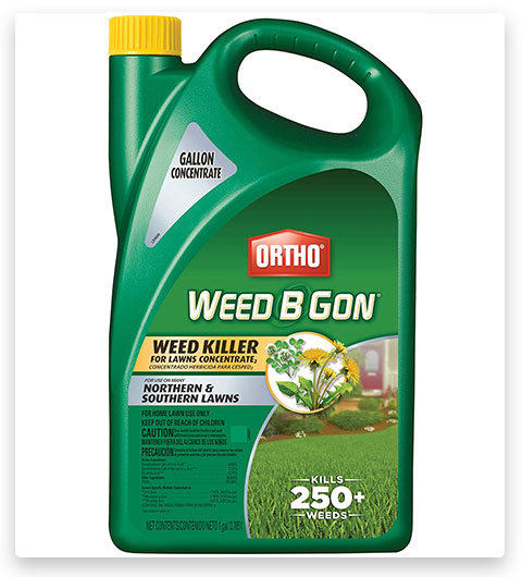 Ortho Weed B Gon herbicida para céspedes