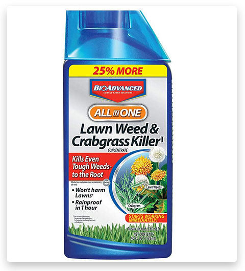 BioAdvanced All-in-One Lawn Weed and Crabgrass Killer