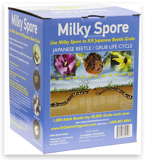 Milky Spore Japanese Beetle and Other Beetle Killer