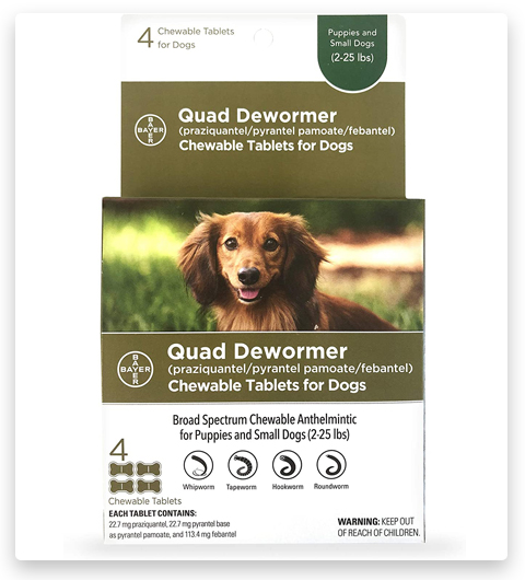 Bayer Dewormer Quad masticable para perros pequeños