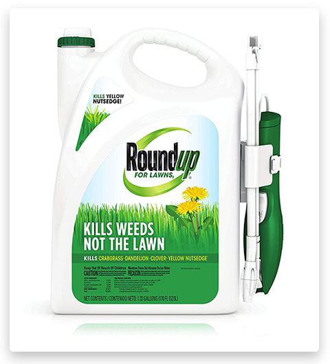 Roundup For Lawns1 Ready to Use