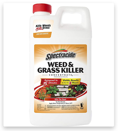 Spectracide Weed & Grass Killer Concentré