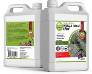 Read more about the article Best Weed Killers 2023