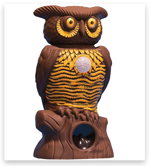 As Seen On TV Owl Alert Owl Statue — Pesticide-Free Pest Control