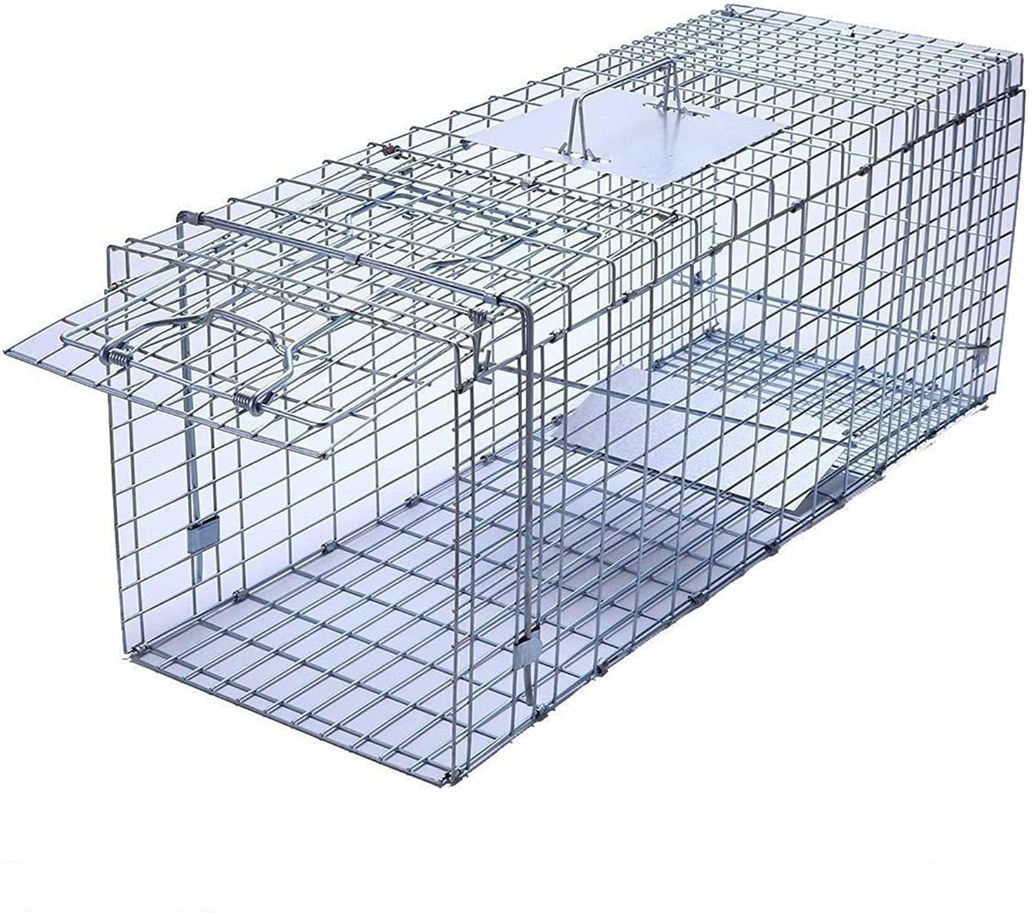 Read more about the article Best Groundhog Traps 2023