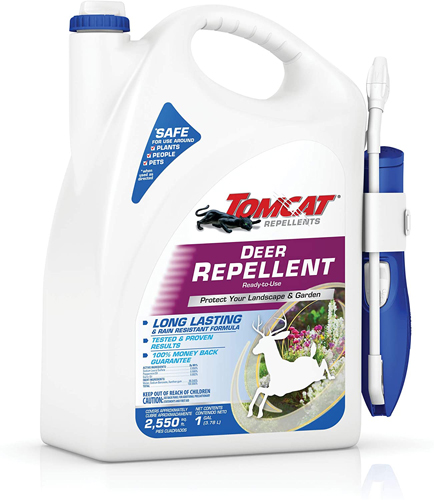 Read more about the article Best Deer Repellent 2022