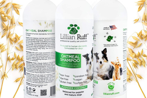 Bestes Floh-Shampoo für Hunde 2023