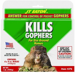 Read more about the article Best Gopher Poison 2023