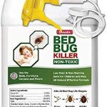 Best Stink Bug Killer 2022