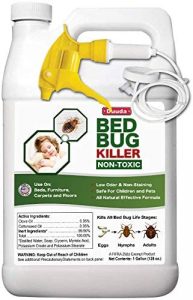 Lire la suite de l'article Best Stink Bug Killer 2023
