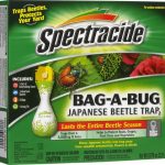 Best Stink Bug Trap 2023