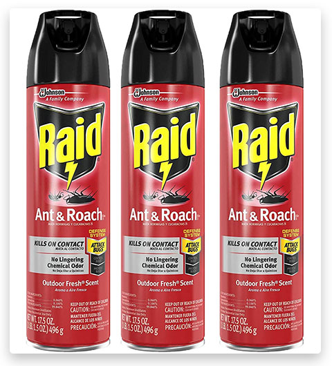 Raid Ant & Roach Killer Defense System