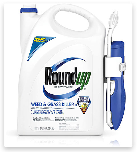 Roundup Ready-To-Use Weed & Grass Killer (herbicide prêt à l'emploi)
