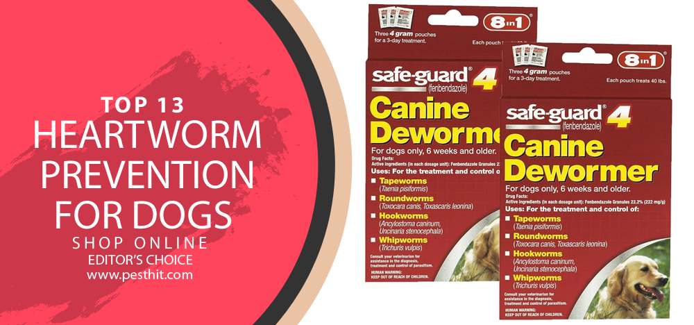 Top 13 Heartworm Prevention For Dogs