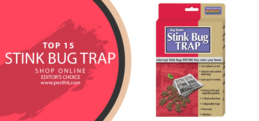 Top 15 Stink Bug Trap