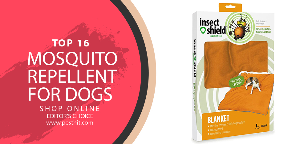 Top 16 Mosquito Repellent For Dogs