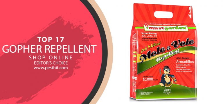 Best Gopher Repellent | Top 17 Gopher Repellents