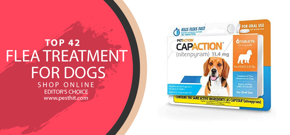Top 42 Flea Treatment For Dogs