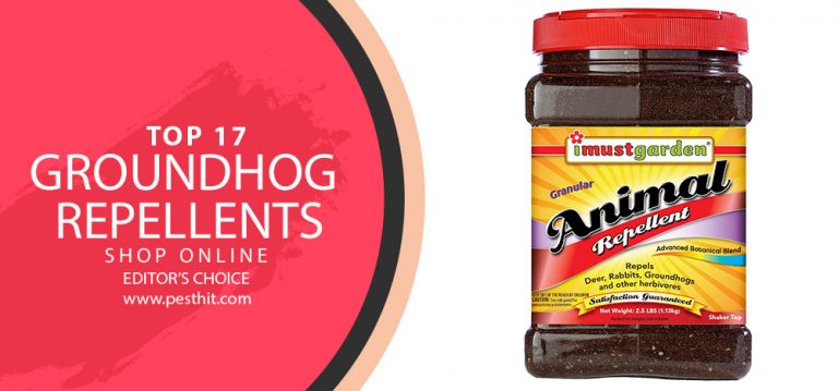 Best Groundhog Repellents 2021 | TOP 17 Groundhog Repellents