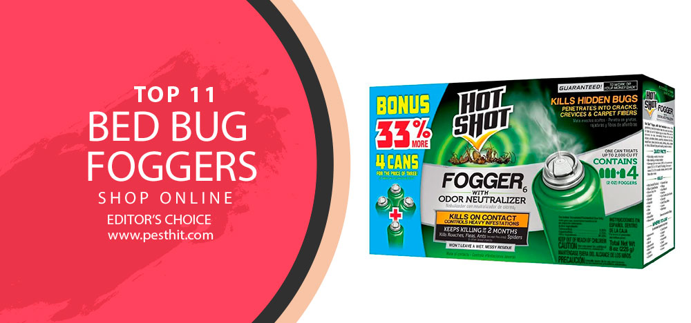 Best Bed Bug Foggers