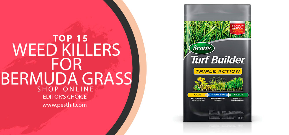 Best Weed Killers For Bermuda Grass 