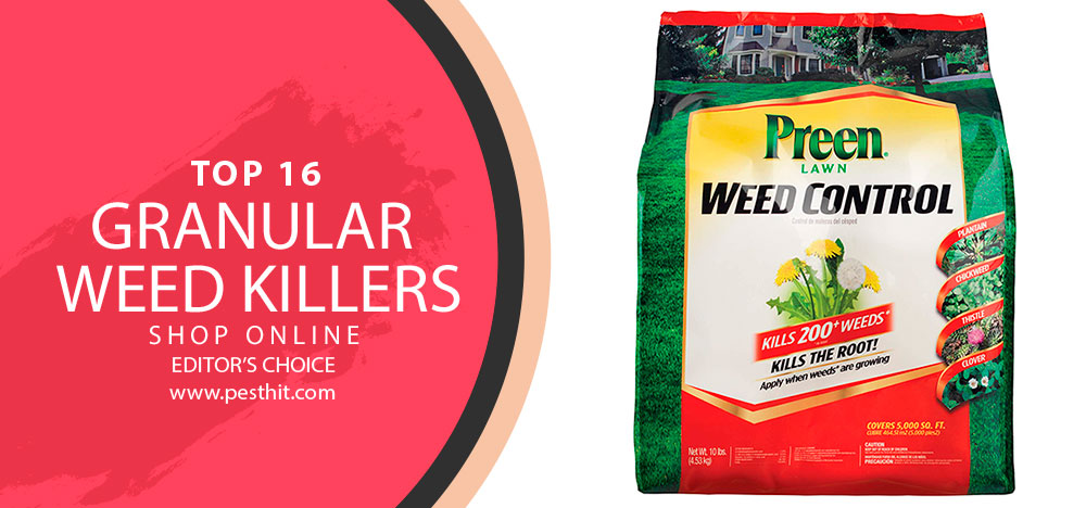 Best Granular Weed Killers